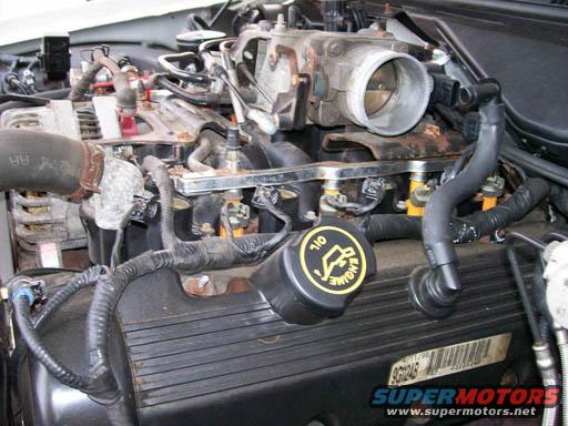 Engine bay with oil cap, hoses, and wiring. Part number visible on black cover