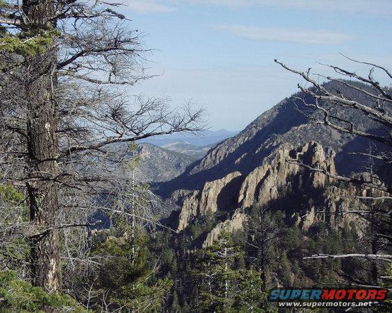 Mountain landscape with trees and rocky peaks under a blue sky