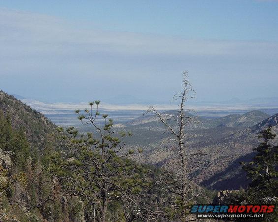Mountain landscape with trees and a distant valley under a hazy sky