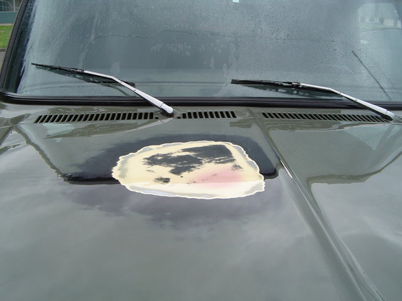 Hood of a vehicle with a large area of primer and filler exposed