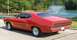 1970 Ford Torino