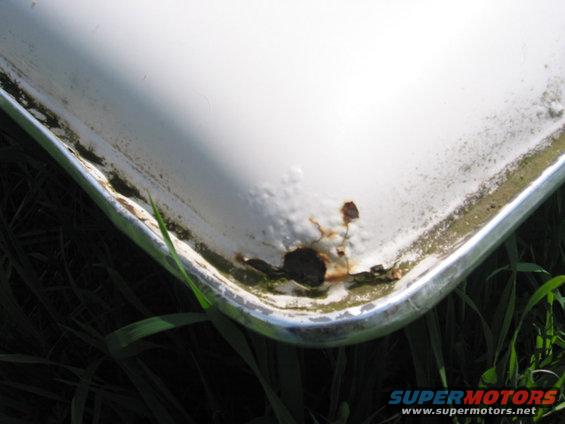 White vehicle fender with rust and moss, showing chrome trim