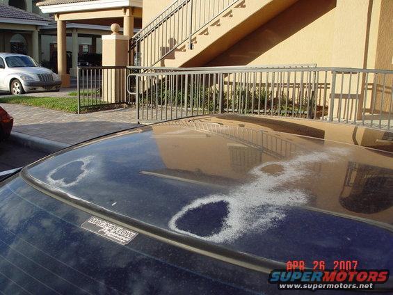 dsc00743.jpg The sun-damaged paint all black Fords get down here... 