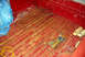 1979 Ford F-150 - The bed of a truck shows significant rust and damage to its red paint finish.