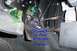 2005 Ford Explorer photo