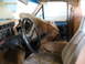 1989 Ford Bronco
