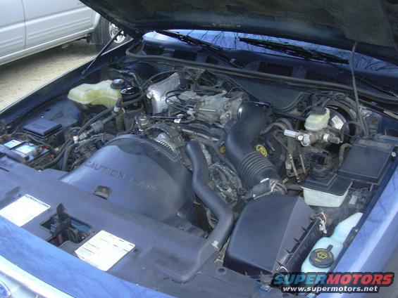 Engine bay of a 1996 Ford Crown Victoria. Shows the engine, battery, and other components under the hood