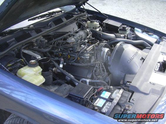 Blue 1996 Ford Crown Victoria engine bay with hood open. Visible components include the engine block, battery, hoses, and air intake