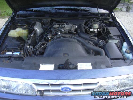 Blue 1996 Ford Crown Victoria engine bay with hood open. Shows engine, battery, and coolant reservoir