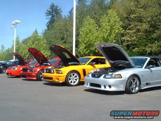 Silver Ford Mustang convertible with hood open, parked in a line with other Mustangs