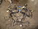 1994 Ford Probe - A tangled engine wiring harness lies on a dirty floor, likely for a car part-out.