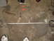 1994 Ford Probe - Tools and a car strut bar are laid out on a concrete floor.