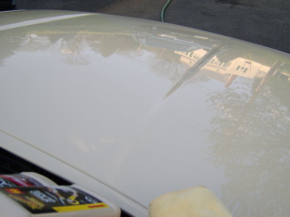 sta70283.jpg These pics were taken following a swirl removal session using Meguiar's Mirror Glaze #80-->#9--->#7---->#26 using a PC DA polisher following a wash and claybar. The finish was then given a wipe down with Zaino Z-8 spray seal.


Only the hood, roof, decklid and bumper covers were clayed and 'buffed' - the rest fo the car was also washed but just given a quick application of the M#7 and M#26 for top dressing.



Klasse high-gloss sealant glaze will probably be added on top to seal it all in when I have a chance. 