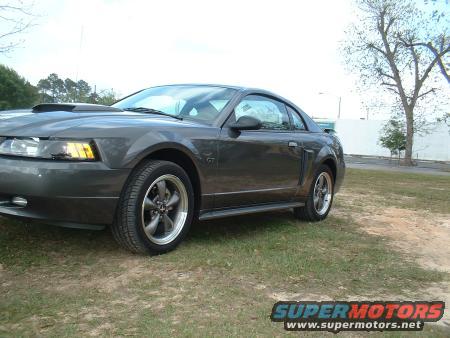 mystang1stday.jpg
