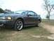 mystang1stday.jpg