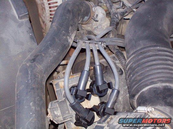 100_1248.jpg Coil end of new Bosch premium spark plug wires.