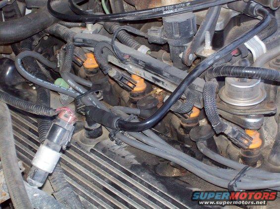 100_1249.jpg Plug end of Bosch premium spark plug wires.