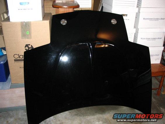 picture-037.jpg Fortier 1