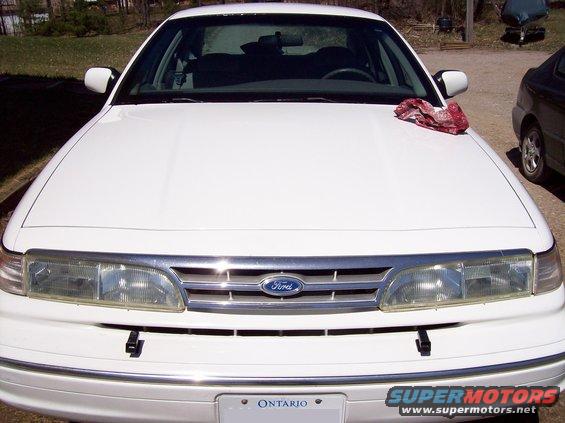 100_1278.jpg Washed and waxed front end, with my 'buffing cloth' on the hood.