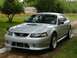 1999 Ford Mustang - A silver Ford Mustang is parked outdoors on a sunny day, with a house and trees visible behind it.