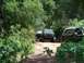 1980 Ford F-250 - A green 1980 Ford F-250 pickup truck is seen on a dirt path, with another vehicle partially visible behind it and a dark SUV to the right.