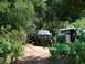 1980 Ford F-250 - Several off-road vehicles, including a Ford F-Series truck and an International Scout II, navigate a dirt trail through trees.