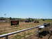 1978 Ford Bronco - An outdoor event with a vintage pickup truck and golf carts on a dirt field under a clear blue sky.
