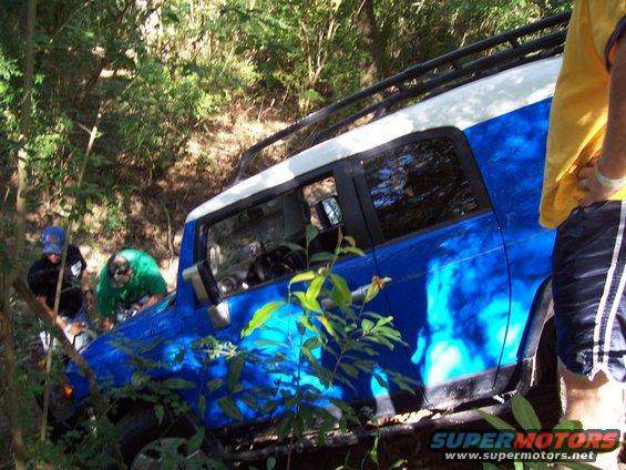 Blue and white SUV with roof rack off-roading, partially obscured by foliage
