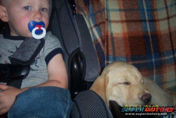 Child with pacifier and sleeping dog in car seats, plaid blanket in background
