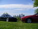 P1000008.jpg