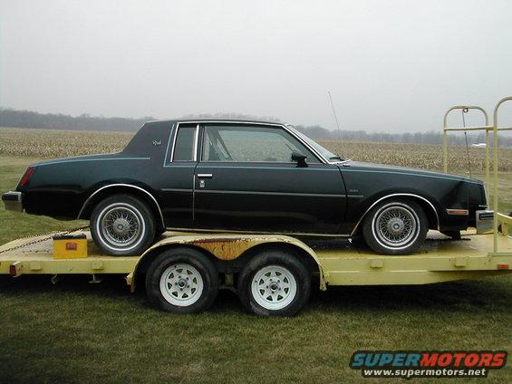 What it looked like when I got her