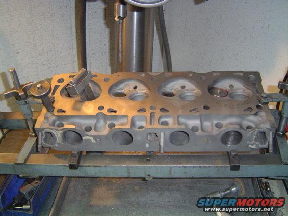 stock heads getting some luvin on the bench