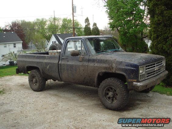 022.jpg my lil stocker...  And, yes, it can swim!