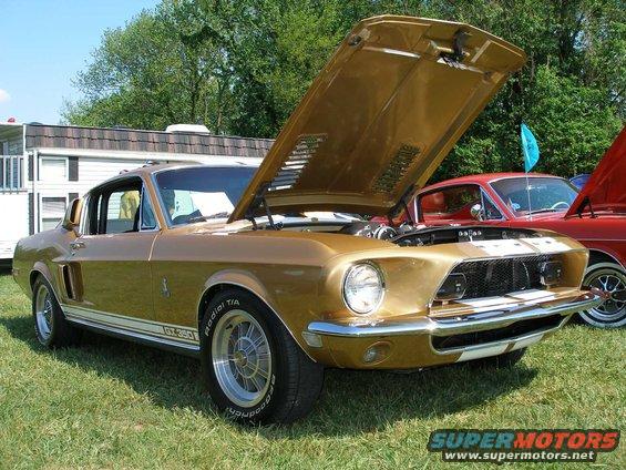 gt-350.jpg 