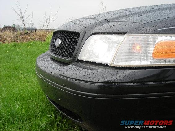 dscn0143.jpg Bugs mashed on my bumper