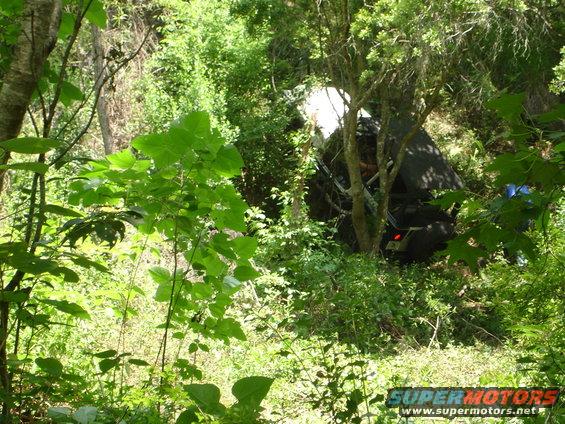 Dark SUV off-road, partially obscured by trees and foliage