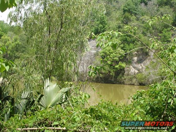 Overgrown vegetation obscures a murky body of water and a rocky cliff face