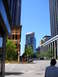 P1000160.jpg