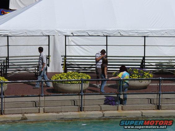 People standing near planters under a large white tent
