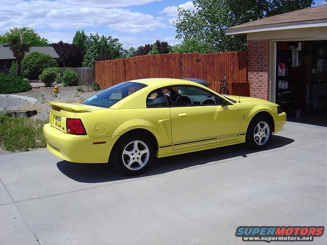 stang-005.jpg 