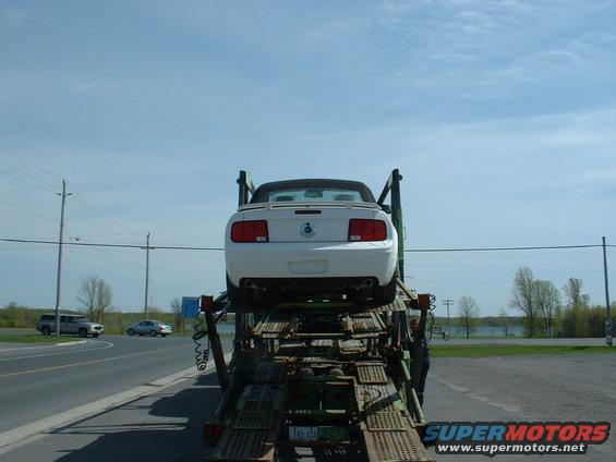 White convertible car on a car carrier, rear view. The car has a blue emblem on the trunk