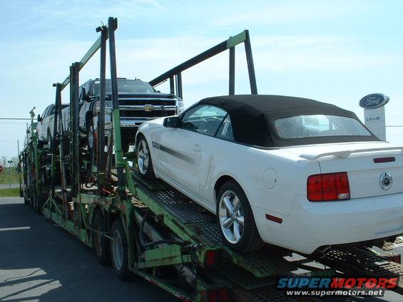 White convertible Ford Mustang on a car carrier, rear view. Black soft top up, spoiler, and alloy wheels visible
