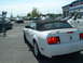 2007 Ford Mustang photo