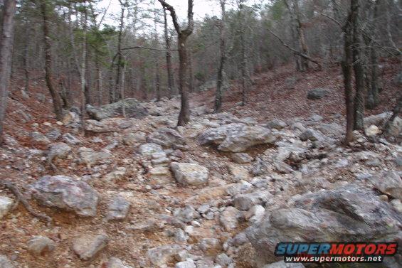 picture-002.jpg