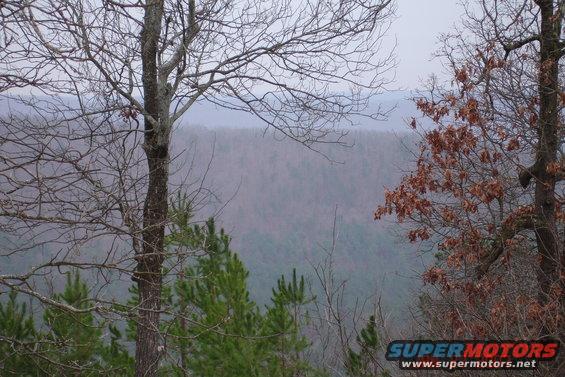 Overcast day overlooking a valley with trees in the foreground
