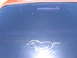1967 Ford Mustang - This image shows a running horse decal on the rear window of a vehicle. The registry claims it is a 1967 Ford Mustang.
