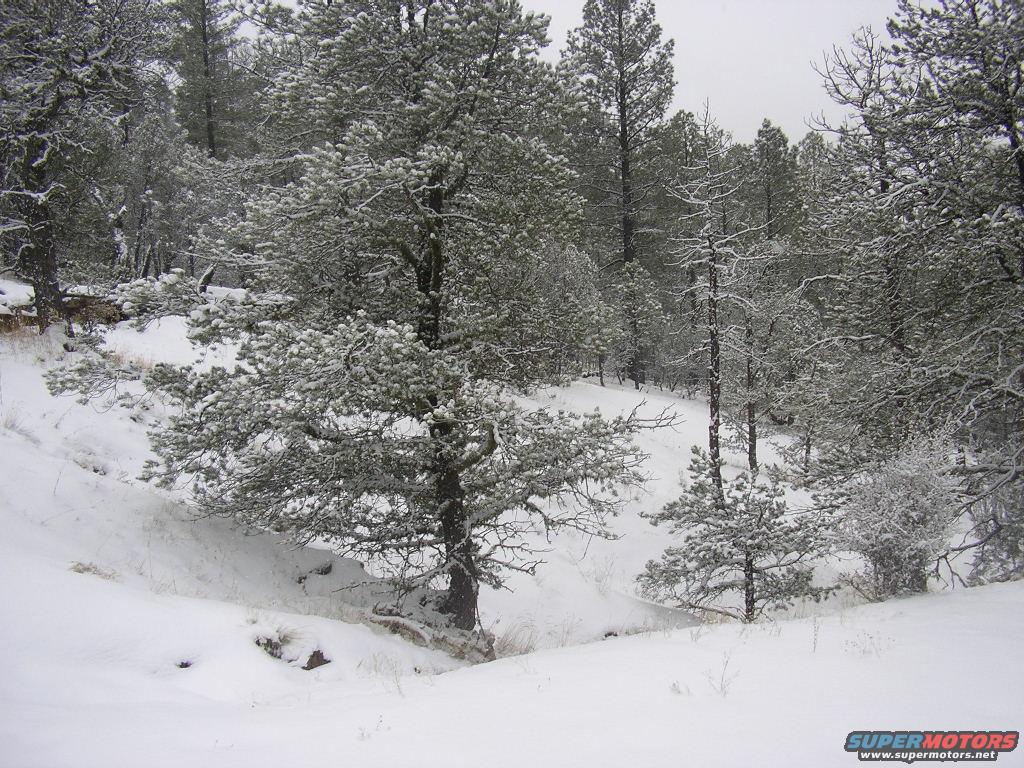 snow wheeling