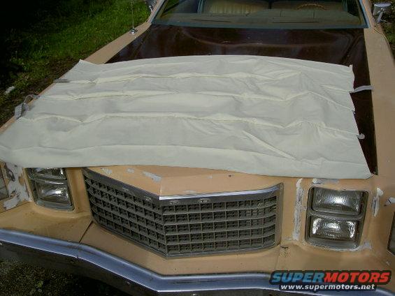 Front of a tan car with a light-colored cover over the hood. Grille and headlights are visible