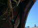 1986 Ford Bronco - Close-up view of the wiring harness in the engine bay, showing a red conduit and a black connector.