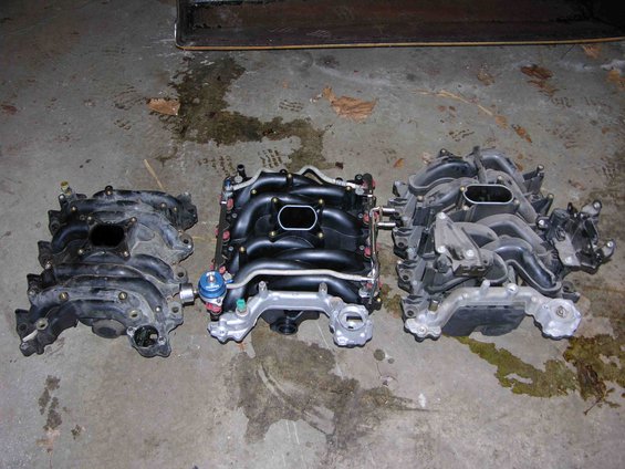 picture-318.jpg 